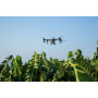 DJI Agras T70P - Pulvérisation et épandage agricole